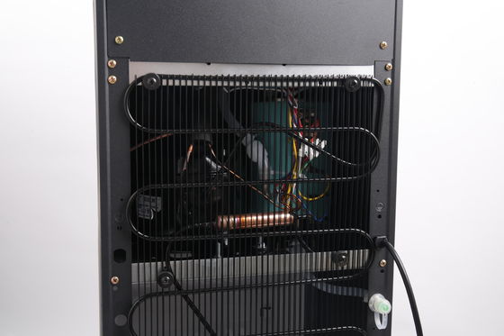 Compressor Cooling Water Dispenser for Hot Cold and Warm Water in 37*37*111cm Dimensions