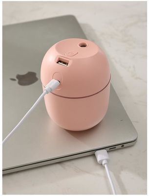 Other Function Ultrasonic Humidifier H2o Mini Cup Spray Mist for Car USB Air Humidifier