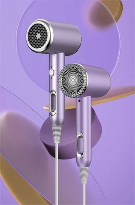 Hotel Salon Household High Speed Hair Dryer Air Styler Hot Air Brush for Professional