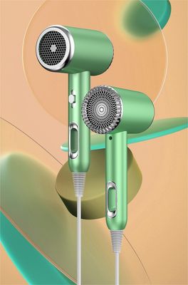Hotel Salon Household High Speed Hair Dryer Air Styler Hot Air Brush for Professional