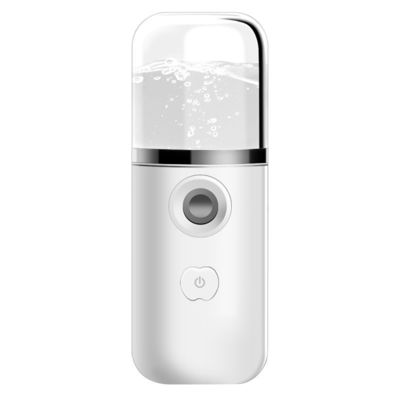 Portable Pocket Mist Steamer USB Rechargeable Nano Facial Mister Mini Face Sprayer
