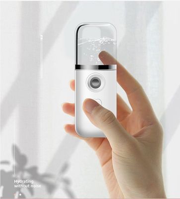 Portable Pocket Mist Steamer USB Rechargeable Nano Facial Mister Mini Face Sprayer