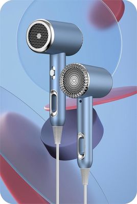 Hotel Household High Speed Hair Dryer Air Styler Salon Hot Air Brush with Metal Body