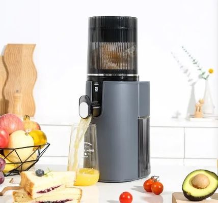 350W Power Supply Household Multifunctional Slow Juicer Electric Juicer Extractor Machine