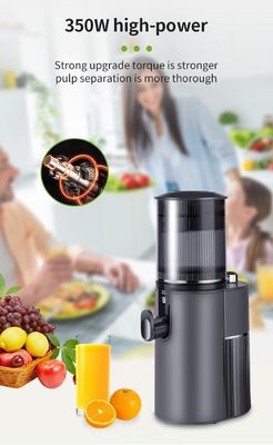 350W Power Supply Household Multifunctional Slow Juicer Electric Juicer Extractor Machine