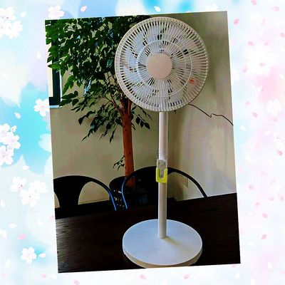 NO App-Controlled Plastic Pedestal Fan The Game-Changer for Air Circulation Needs